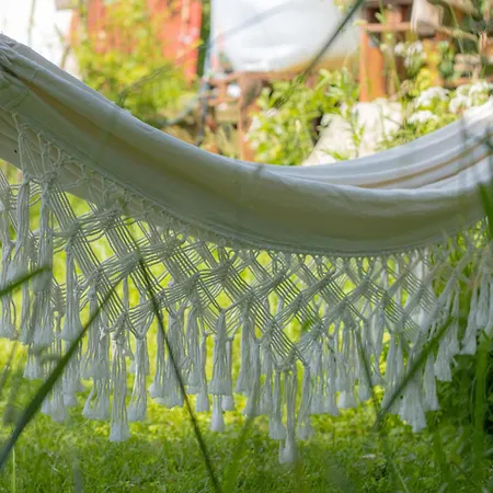 Oder 1-16 Personen Im Blauen Haus *