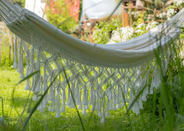 Oder 1-16 Personen Im Blauen Haus *