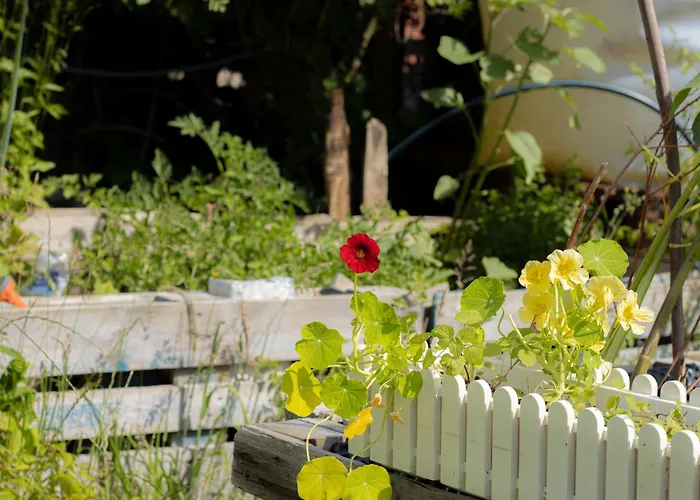 Oder 1-16 Personen Im Blauen Haus * Fehmarn